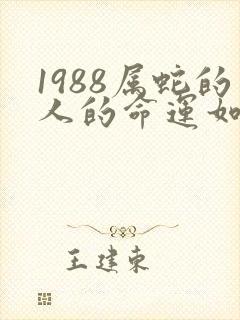 1988属蛇的人的命运如何封面