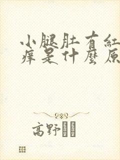 小腿肚有红斑块痒是什么原因