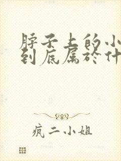 脖子上的小肉粒到底属于什么东西