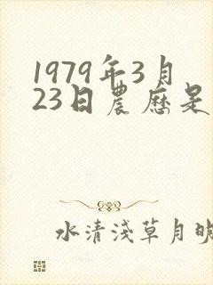 1979年3月23日农历是啥命