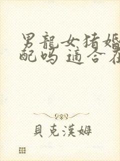 男龙女猪婚姻相配吗 适合在一起吗