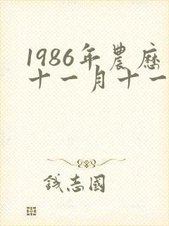 1986年农历十一月十一出生的人命运如何封面