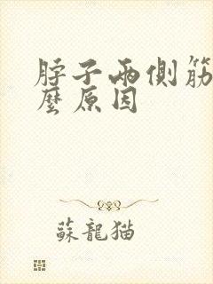 脖子两侧筋疼什么原因