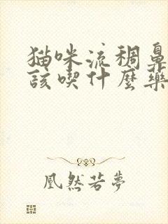 猫咪流稠鼻涕应该吃什么药