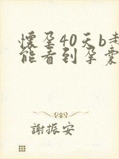 怀孕40天b超能看到孕囊吗