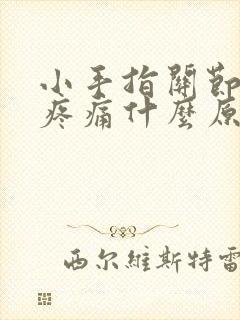 小手指关节肿大疼痛什么原因