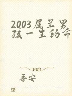 2003属羊男孩一生的命运