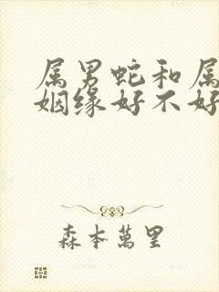 属男蛇和属女蛇姻缘好不好