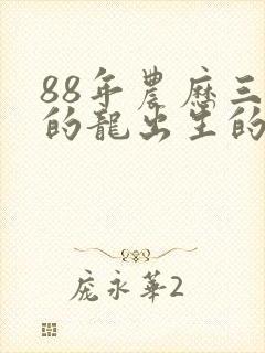 88年农历三月的龙出生的命运