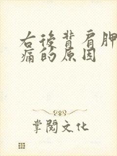 右后背肩胛骨疼痛的原因