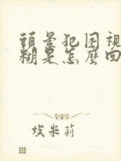 头晕犯困视力模糊是怎么回事啊封面