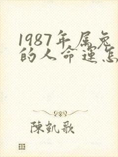 1987年属兔的人命运怎么样封面