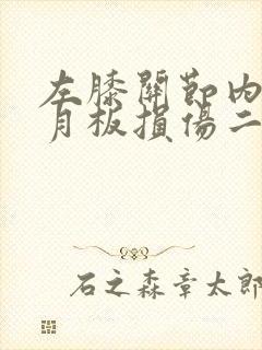 左膝关节内侧半月板损伤二度