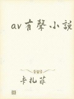 av有声小说