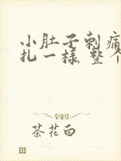 小肚子刺痛像针扎一样 整个下腹部 持续性