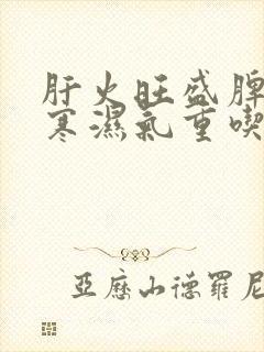 肝火旺盛脾胃虚寒湿气重吃啥药