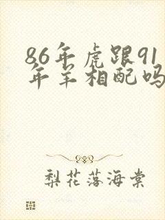 86年虎跟91年羊相配吗封面