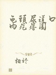 龟头尿道口有小肉疙瘩图封面