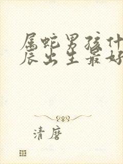 属蛇男孩什么时辰出生最好