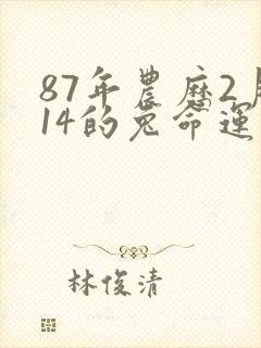 87年农历2月14的兔命运