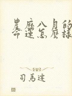 农历八月的马女命运怎么样