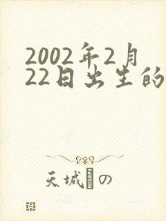 2002年2月22日出生的命运