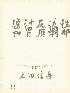 胆汁反流性胃炎和胃糜烂哪个严重