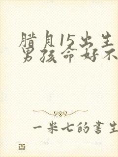 腊月15出生的男孩命好不好