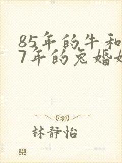 85年的牛和87年的兔婚姻怎么样封面