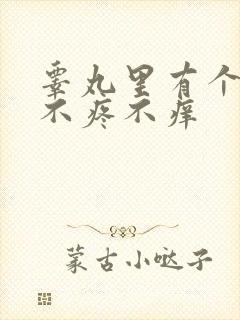 睾丸里有个疙瘩不疼不痒