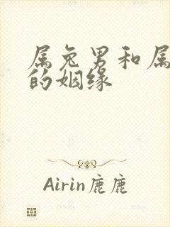 属兔男和属龙女的姻缘