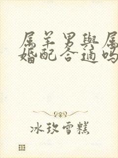 属羊男与属马女婚配合适吗