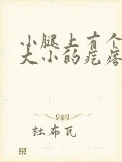 小腿上有个黄豆大小的疙瘩不痛不痒