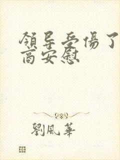 领导受伤了高情商安慰封面