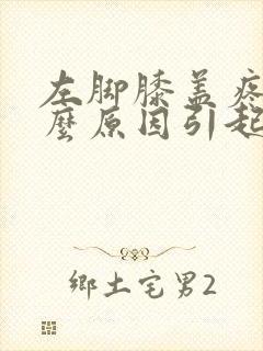 左脚膝盖疼痛什么原因引起的封面