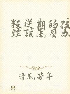 叛逆期的孩子抽烟该怎么办