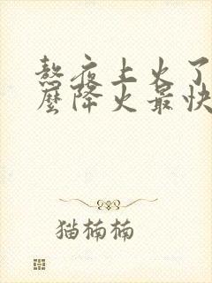 熬夜上火了吃什么降火最快