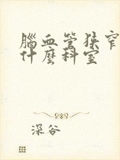 脑血管狭窄该挂什么科室