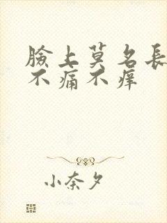 脸上莫名长疙瘩不痛不痒封面