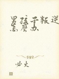 男孩子叛逆期该怎么办封面