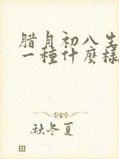 腊月初八生人是一种什么样的命运