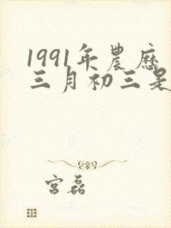 1991年农历三月初三是什么命