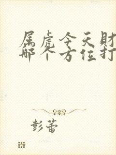 属虎今天财运在哪个方位打麻将封面