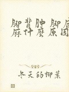 脚背肿 脚底发麻什么原因