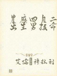 农历四月二十六出生男孩命