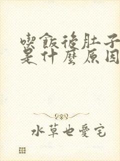 吃饭后肚子胀气是什么原因