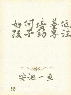 如何培养低年级孩子的专注力