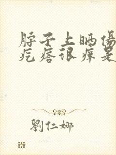 脖子上晒伤有小疙瘩很痒是怎么回事封面