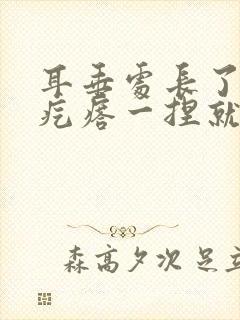 耳垂处长了一个疙瘩一捏就疼