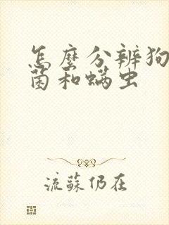 怎么分辨狗狗真菌和螨虫